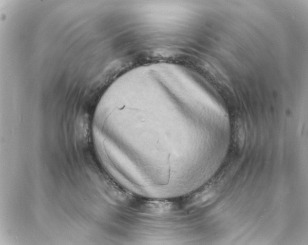 X0000088070328200705251408