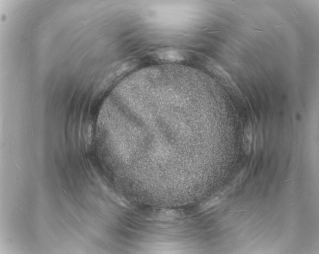 X0000088070330200705251408