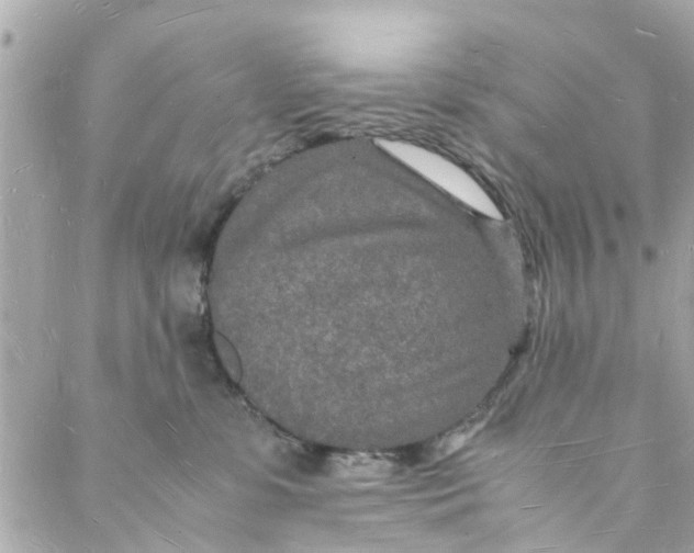 X0000088070331200705251408