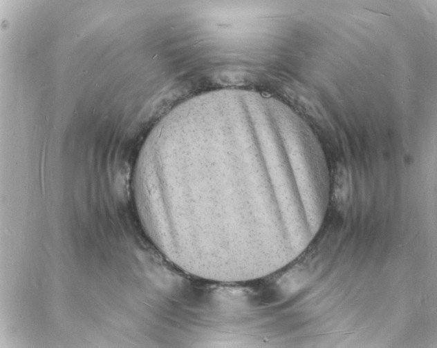 X0000088070332200705251408