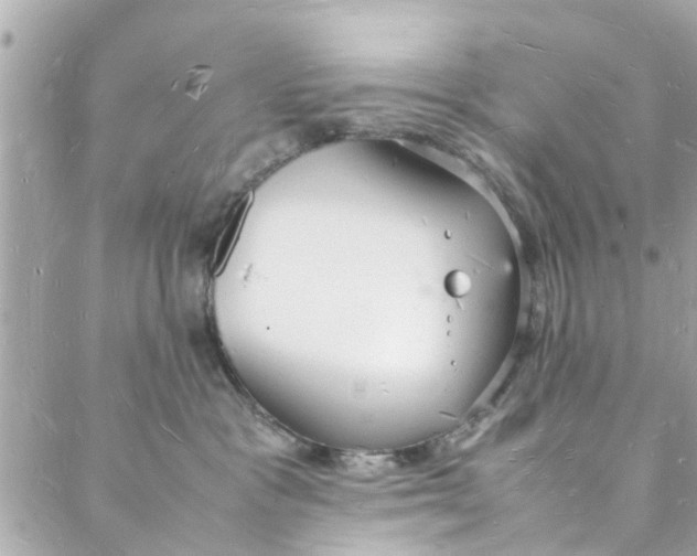 X0000088070333200705251408