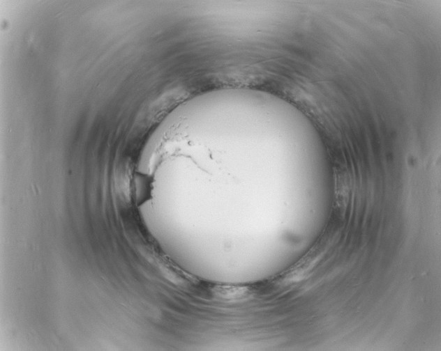 X0000088070334200705251408