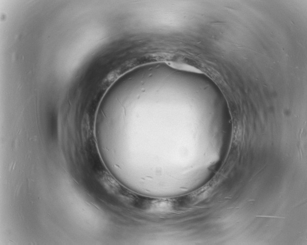 X0000088070335200705251408