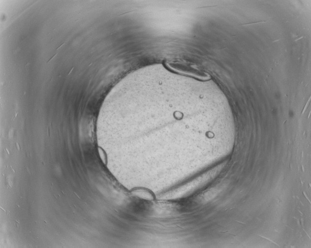 X0000088070336200705251408