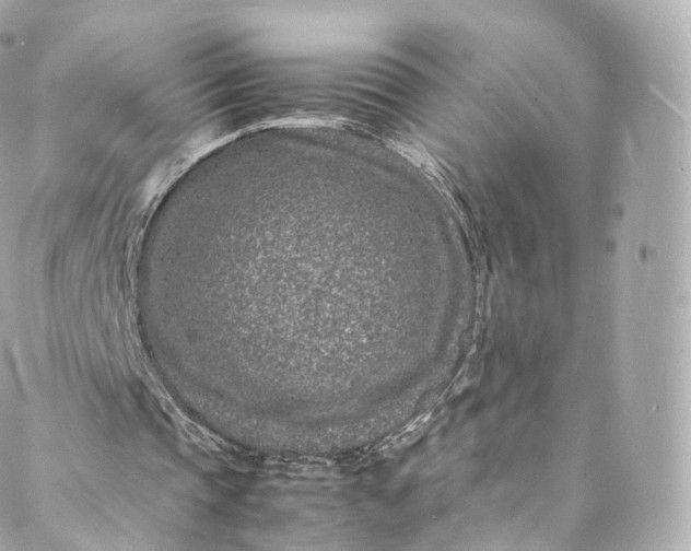 X0000088070337200705251407