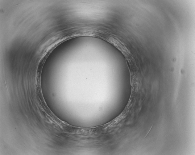 X0000088070338200705251407