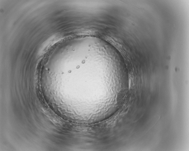 X0000088070339200705251408