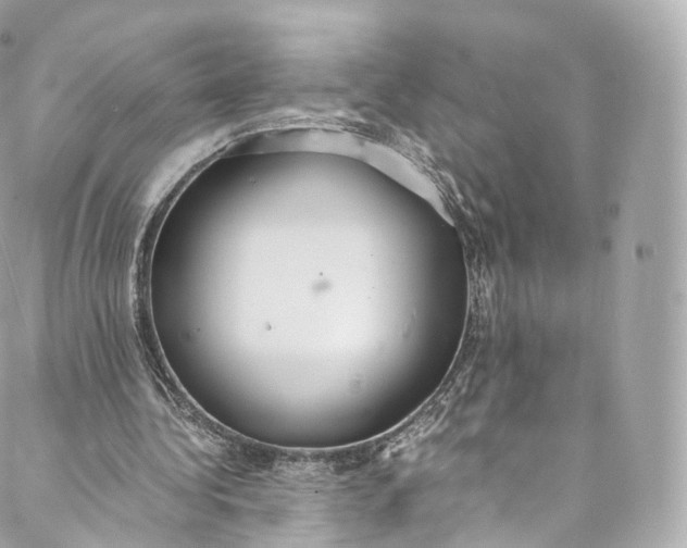 X0000088070340200705251408