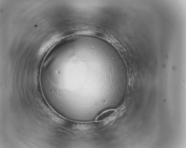 X0000088070341200705251408