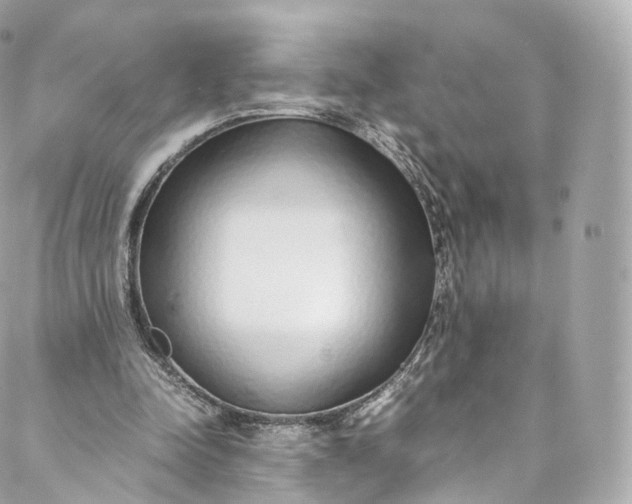 X0000088070342200705251408