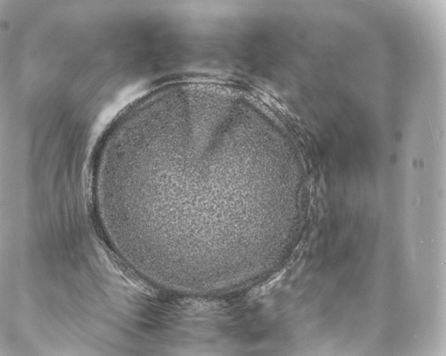 X0000088070343200705251408