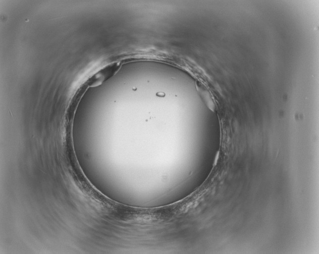 X0000088070344200705251408