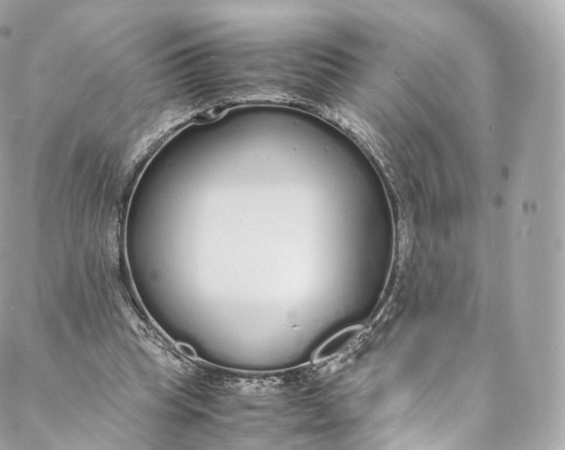 X0000088070345200705251408