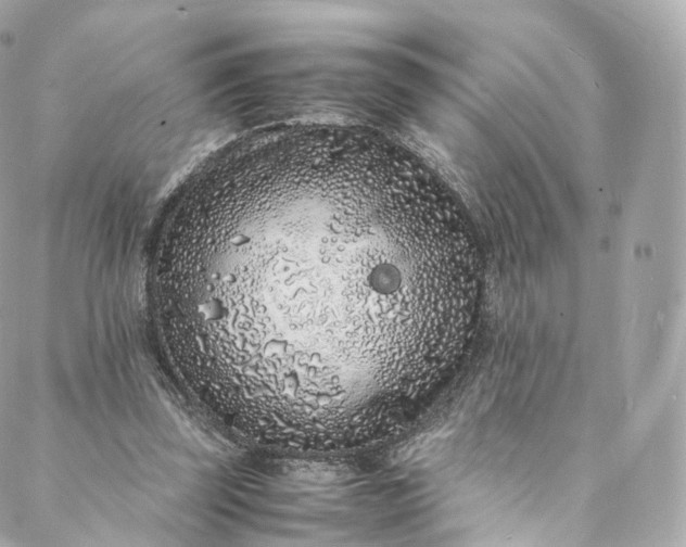 X0000088070347200705251408