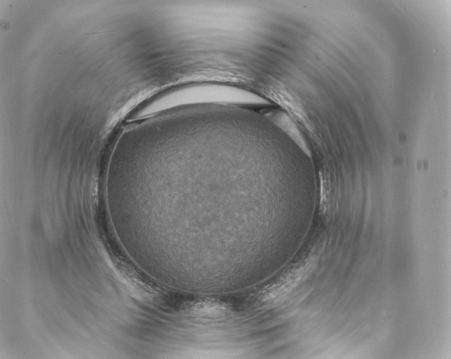 X0000088070348200705251408