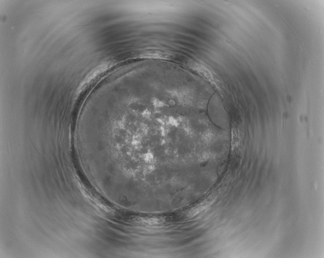 X0000088070349200705251408