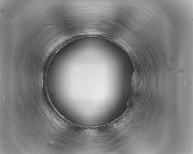 X0000088070350200705251408