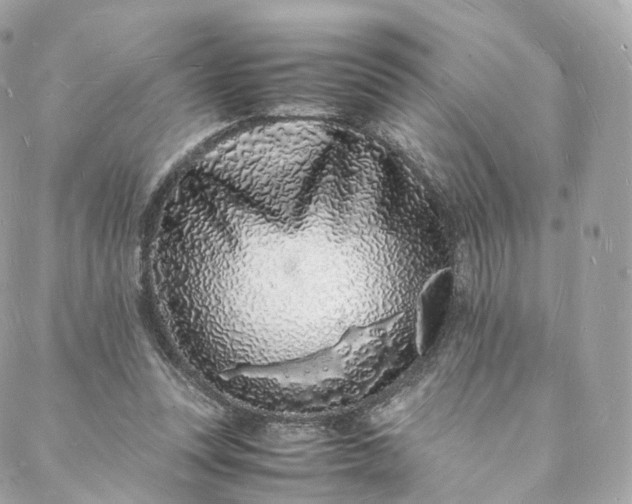 X0000088070351200705251408