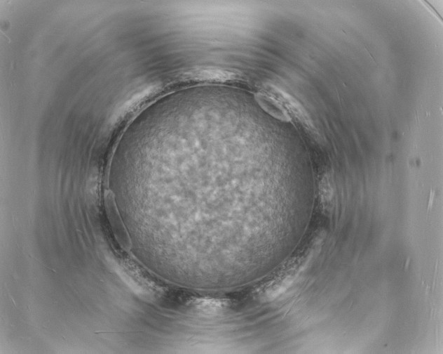 X0000088070352200705251408