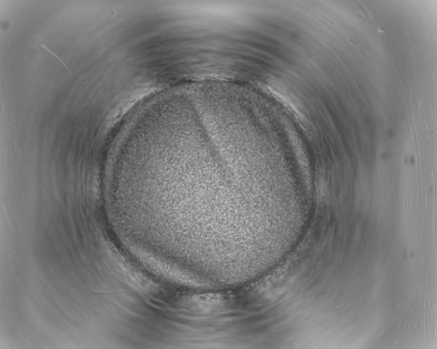 X0000088070353200705251408