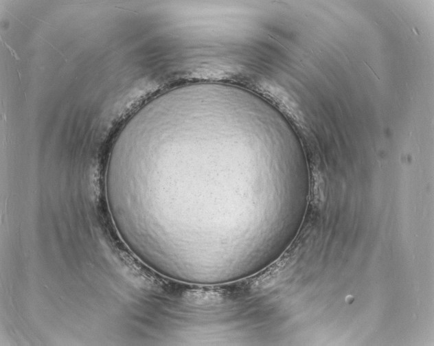 X0000088070354200705251408