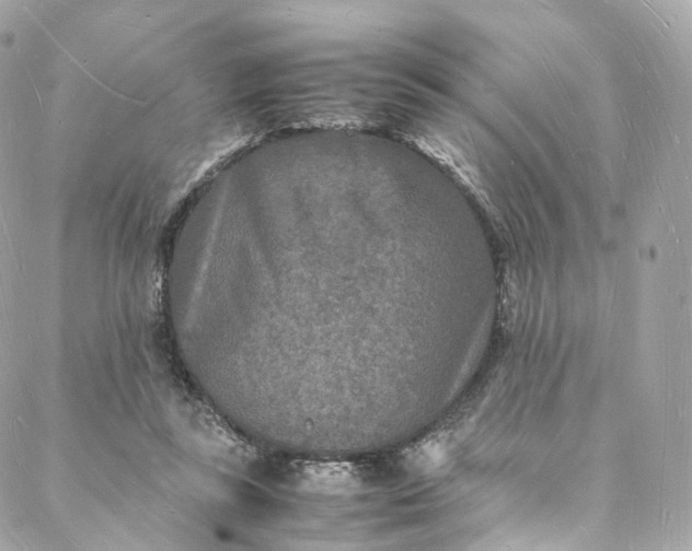 X0000088070355200705251408