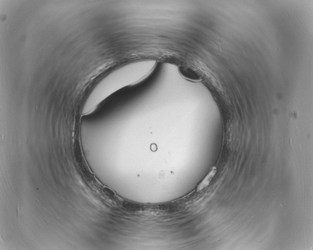 X0000088070356200705251408