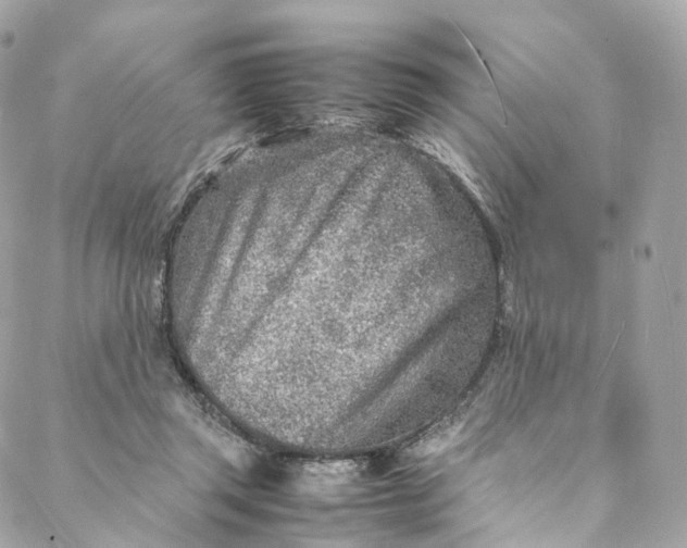 X0000088070357200705251408