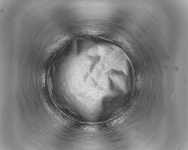 X0000088070358200705251408