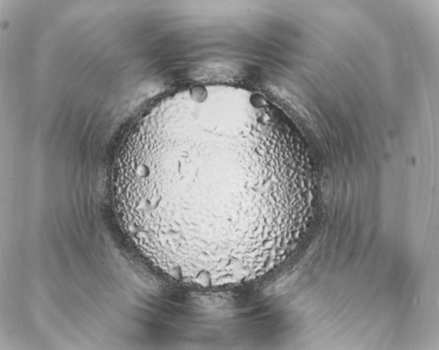 X0000088070359200705251408