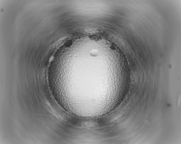 X0000088070360200705251408