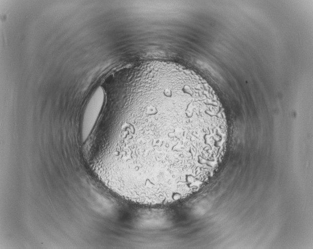 X0000088070361200705251408