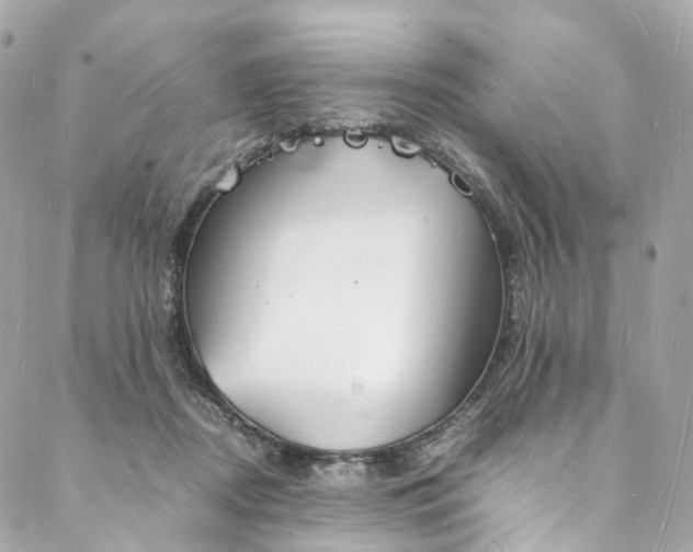 X0000088070362200705251408