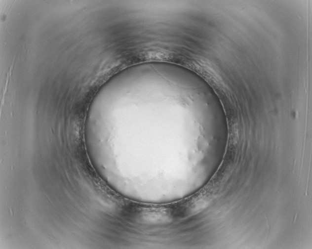 X0000088070363200705251408