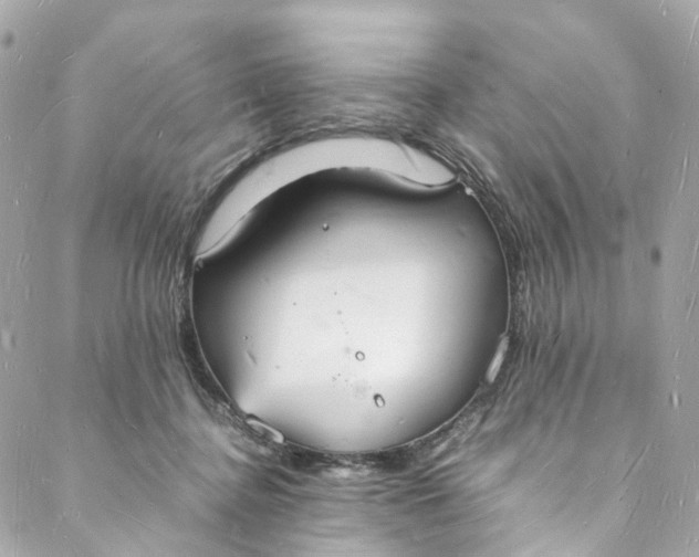 X0000088070364200705251408