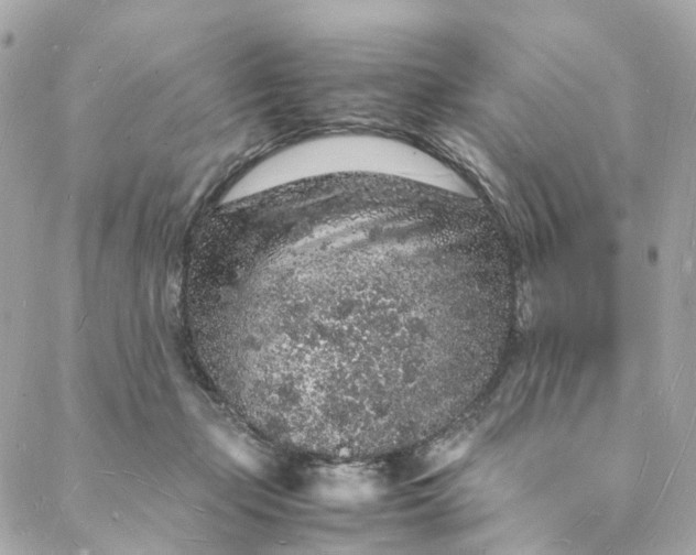 X0000088070365200705251408