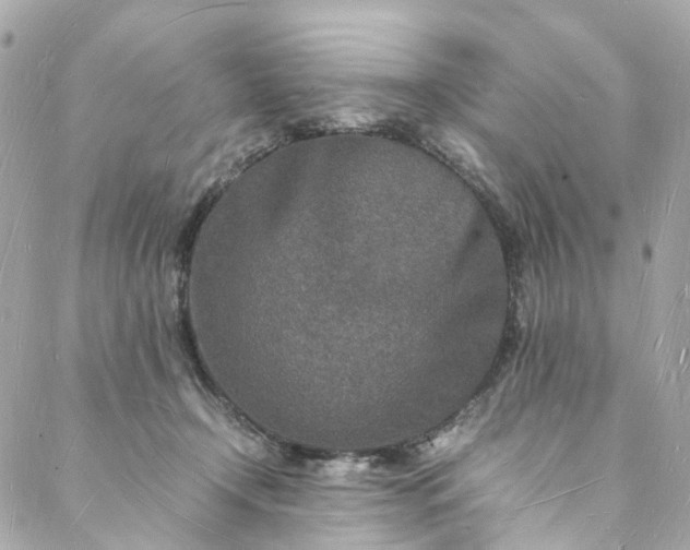 X0000088070366200705251408