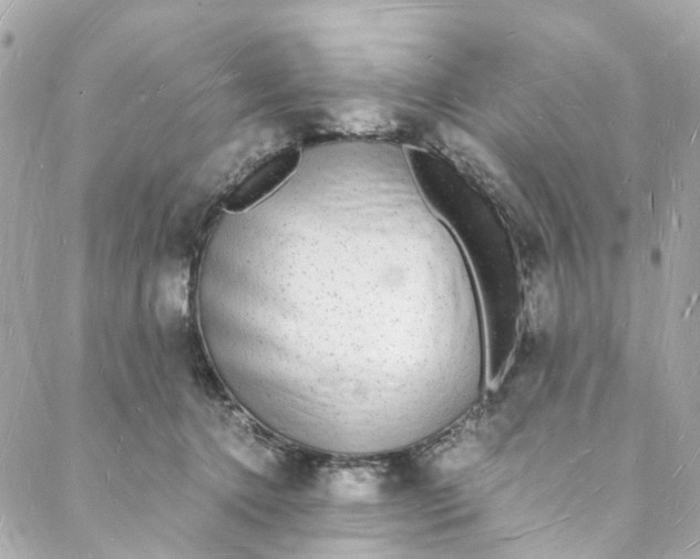 X0000088070368200705251408