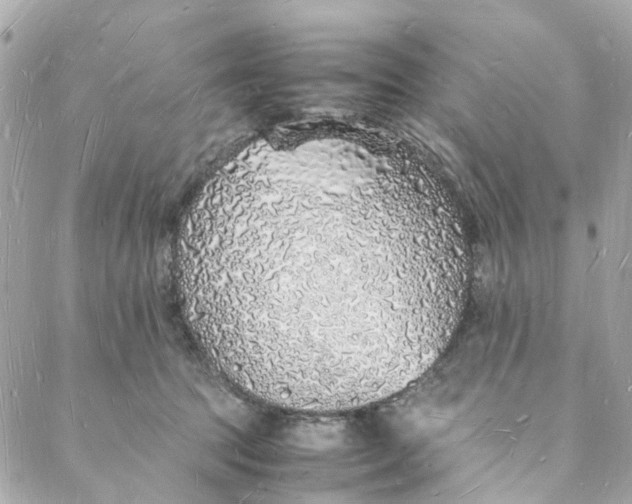 X0000088070369200705251408