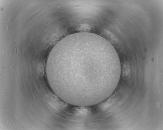 X0000088070370200705251408