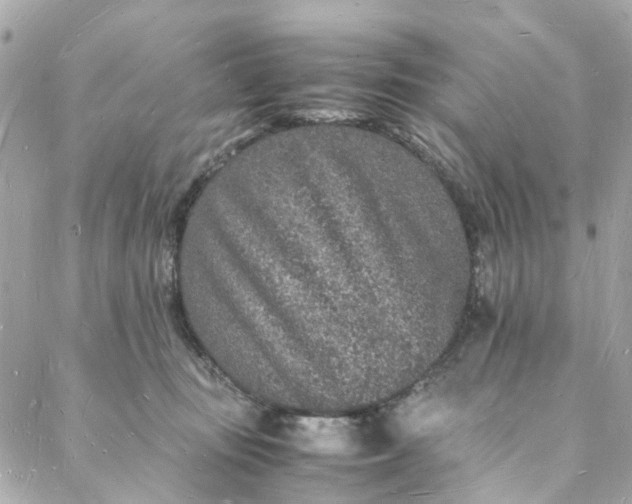 X0000088070371200705251408