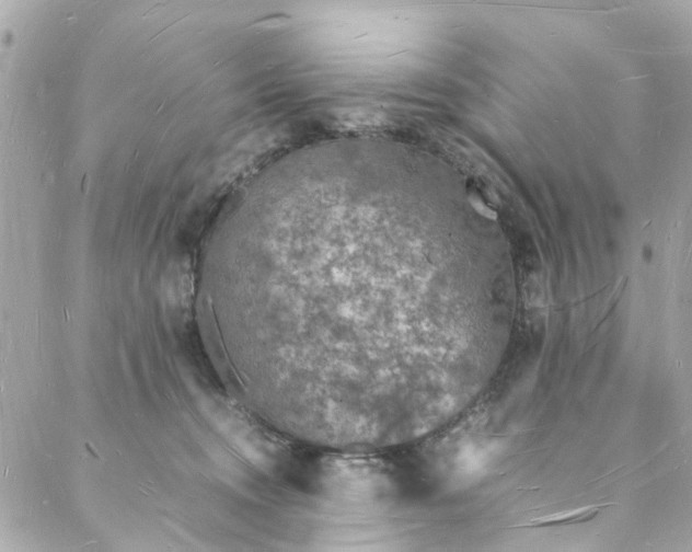 X0000088070372200705251408