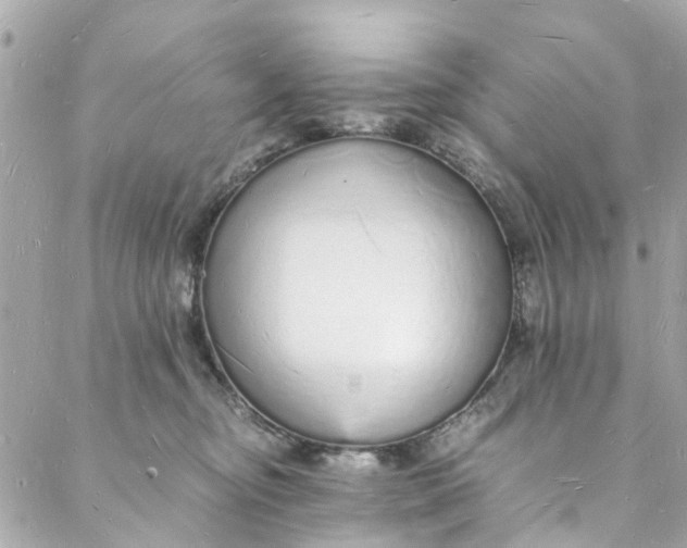 X0000088070374200705251408