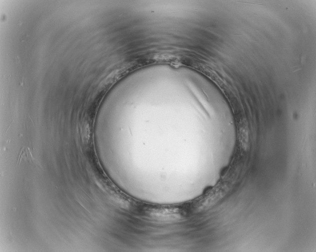 X0000088070375200705251408