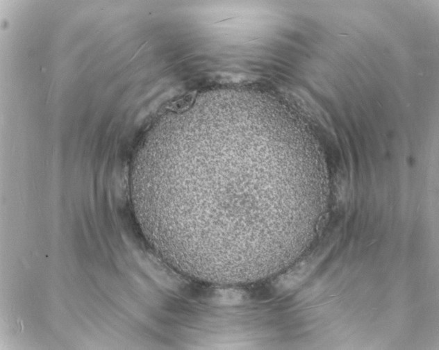 X0000088070376200705251408