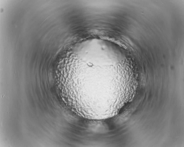 X0000088070377200705251408