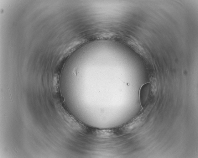 X0000088070378200705251408