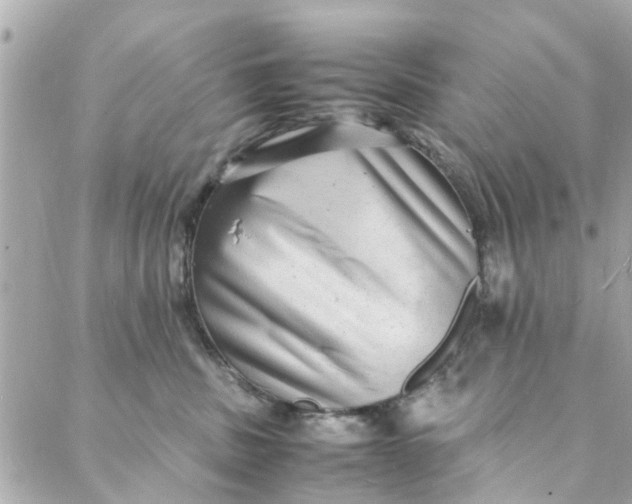 X0000088070379200705251408