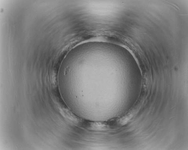 X0000088070380200705251408