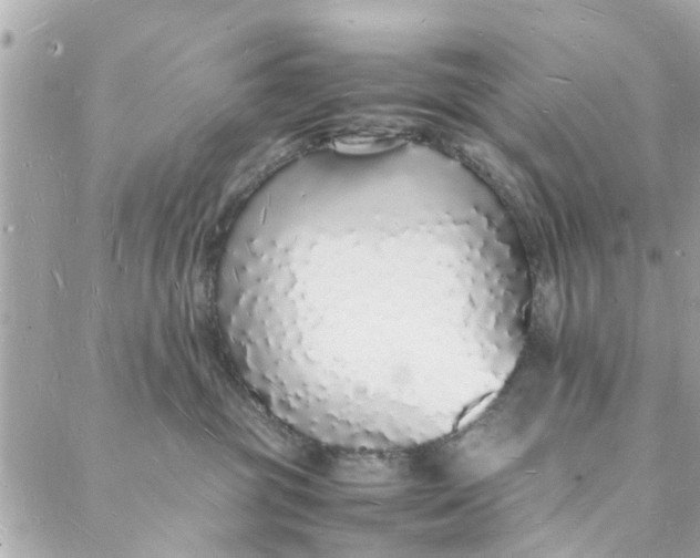 X0000088070381200705251408